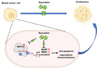 graphic file with name TCA-15-820-g007.jpg