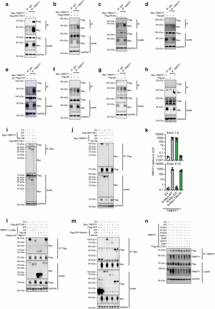 Extended Data Fig. 6