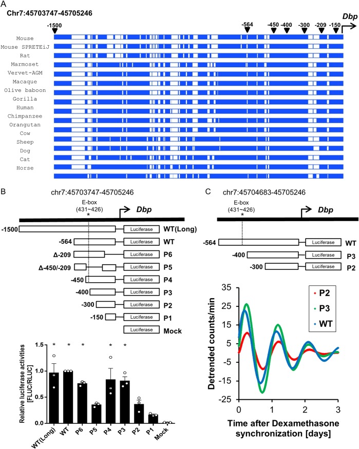 FIG 1