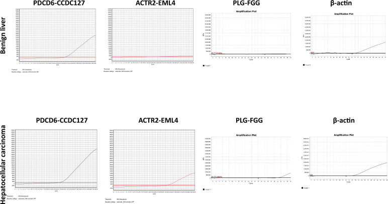 Figure 9—figure supplement 1.