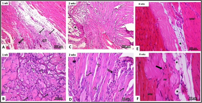 Fig. 7