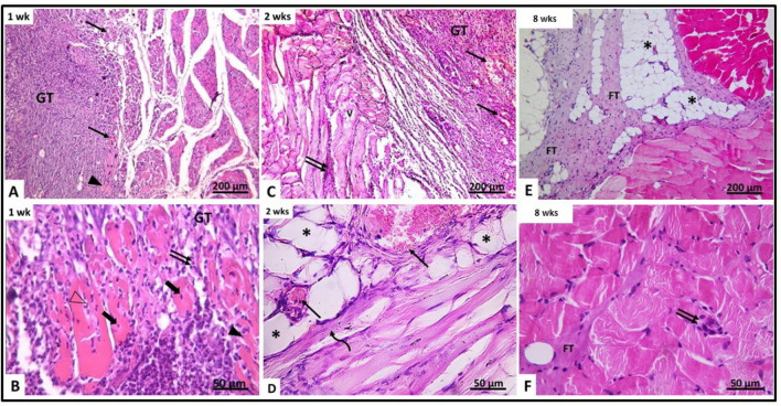 Fig. 4