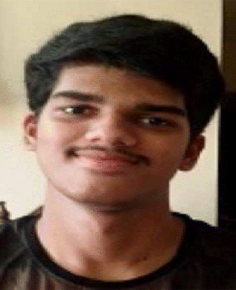 graphic file with name 10489_2021_2393_Figb_HTML.jpg