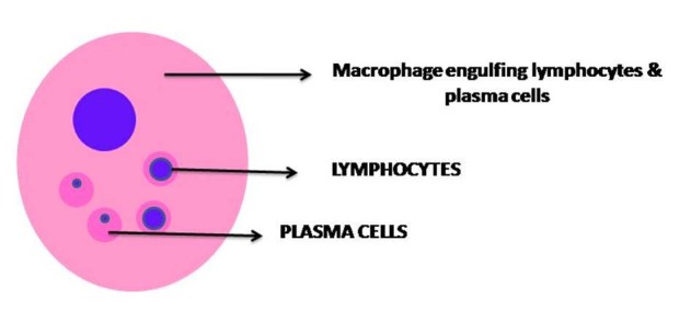 [Table/Fig-2]: