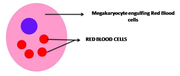 [Table/Fig-1]: