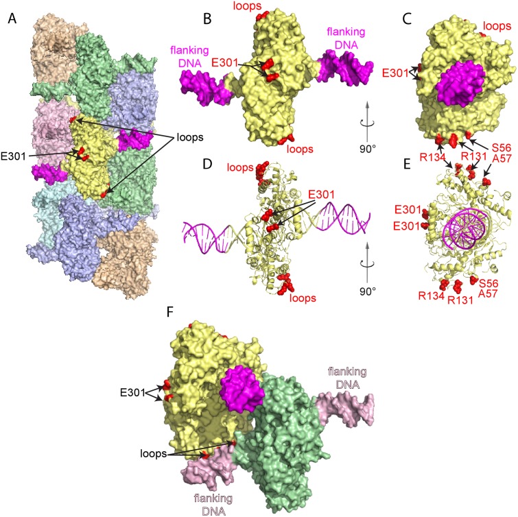 Fig 3