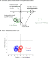 Figure 1—figure supplement 1.