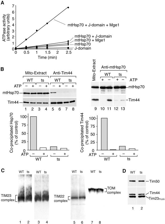 Figure 4.