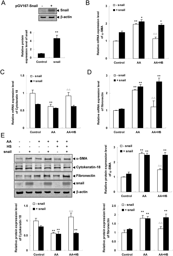 Fig 9