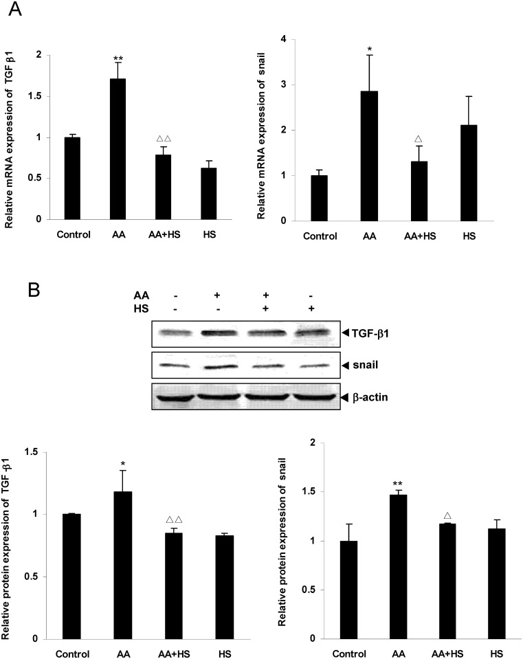 Fig 7