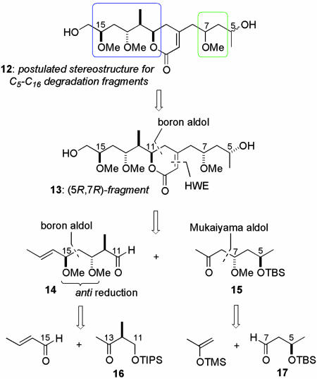 Scheme 2.