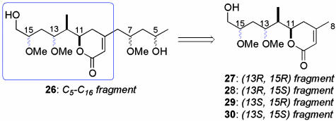 Scheme 5.