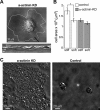 FIGURE 5: