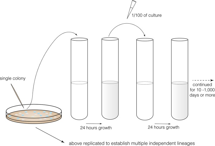 FIG 1 