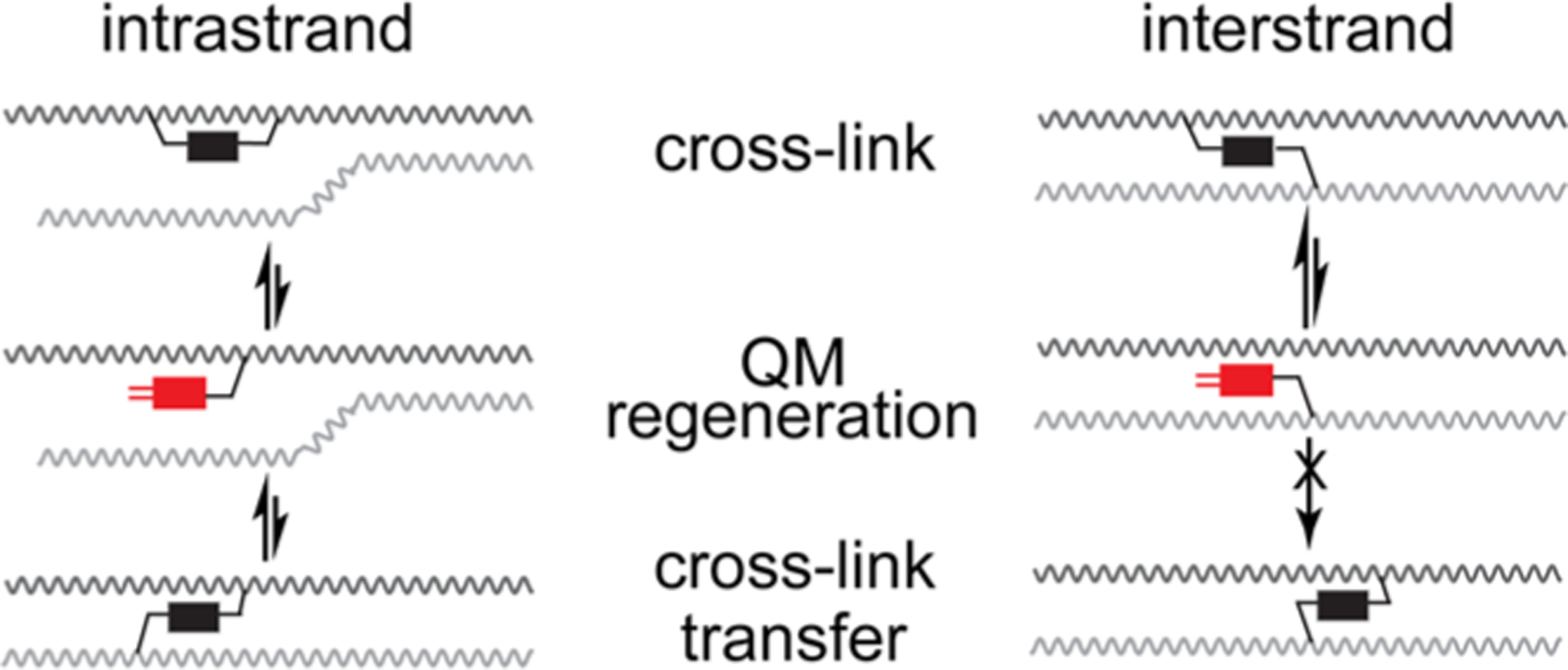 Scheme 2.