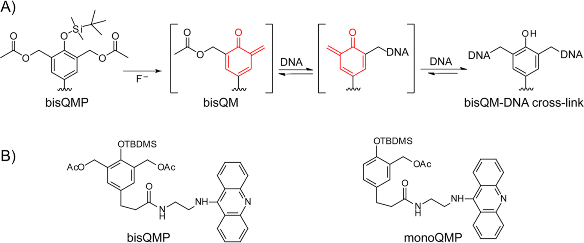 Scheme 1.