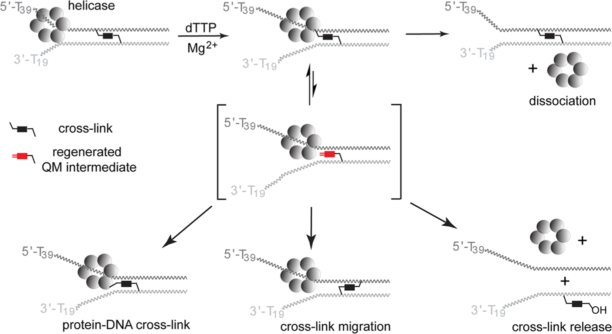 Scheme 3.