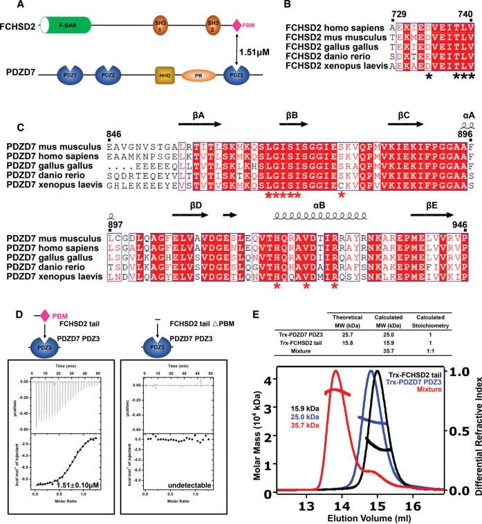 Figure 2.