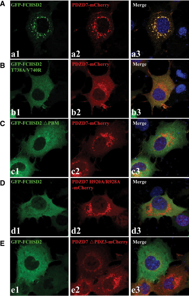 Figure 5.