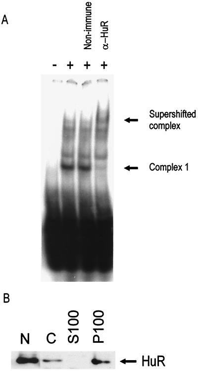 FIG. 6