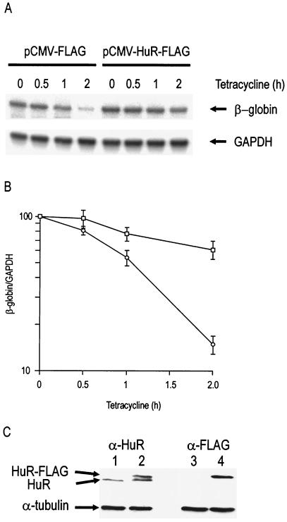 FIG. 7