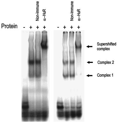 FIG. 5