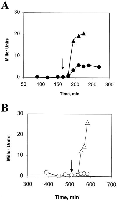 FIG. 6