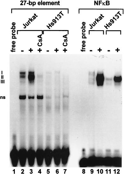 FIG. 5