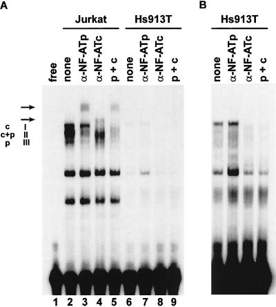 FIG. 7