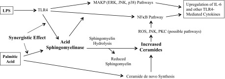 Fig. 8.