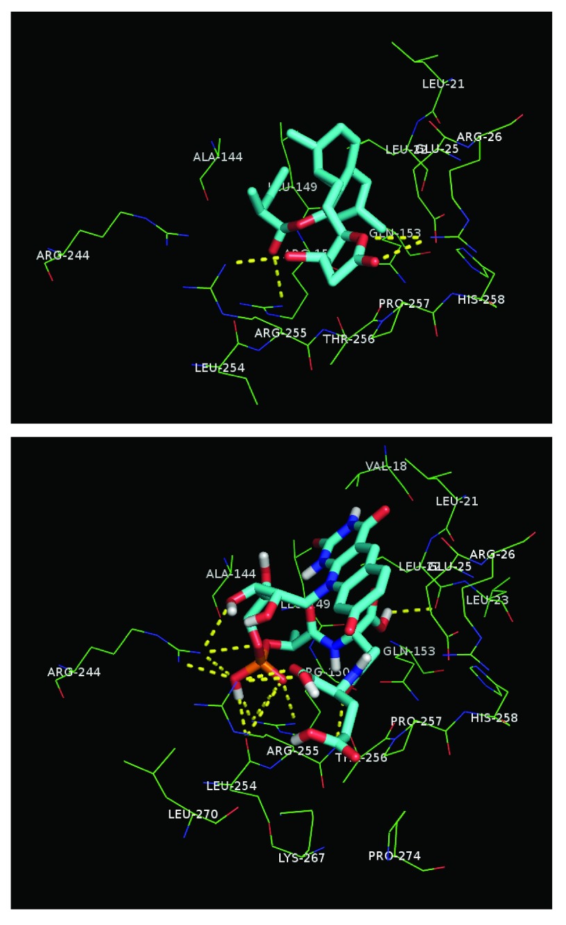 Figure 3. 