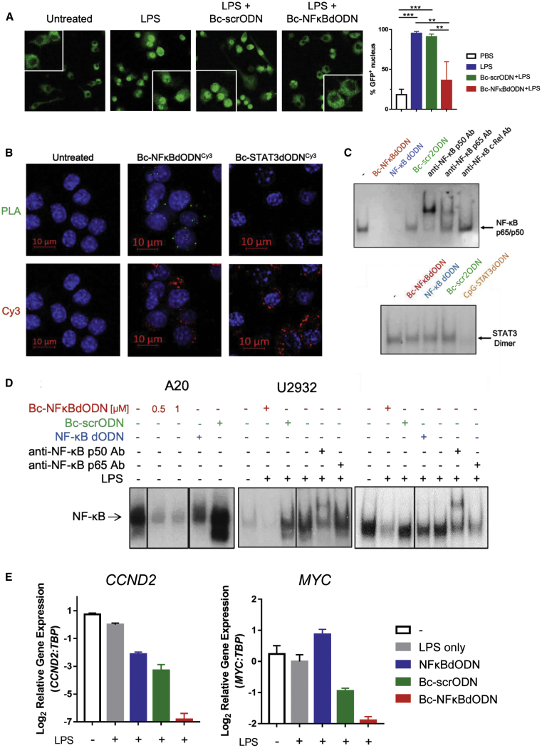 Figure 2