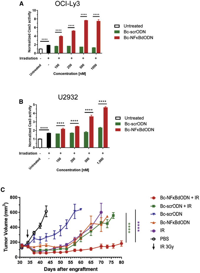 Figure 4