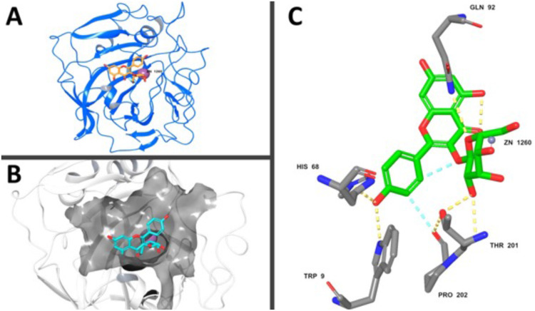 Figure 11