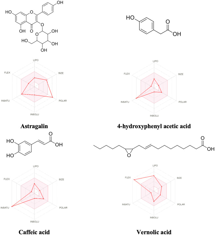 Figure 13