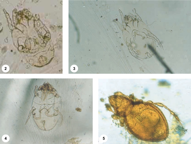 Fig. 2-5