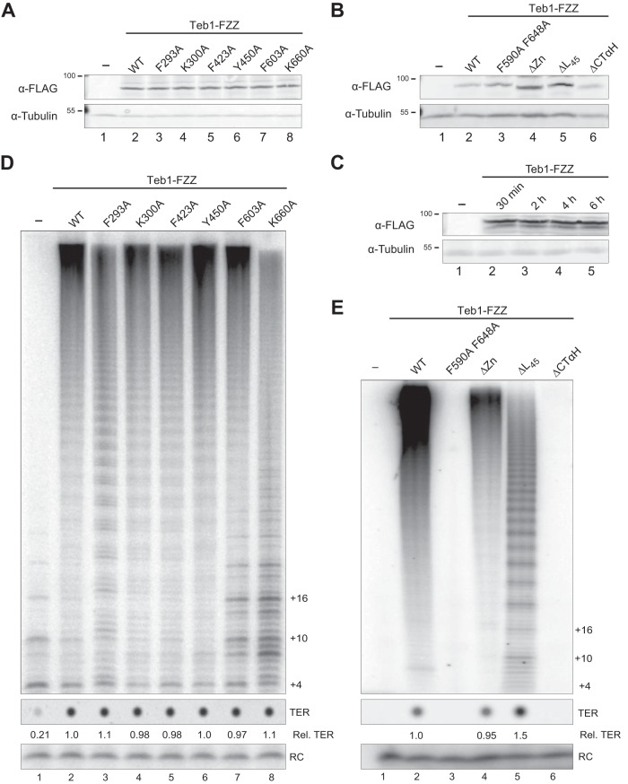 FIG 5