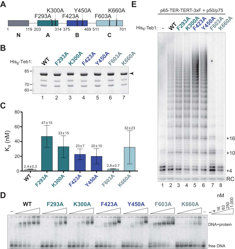 FIG 3