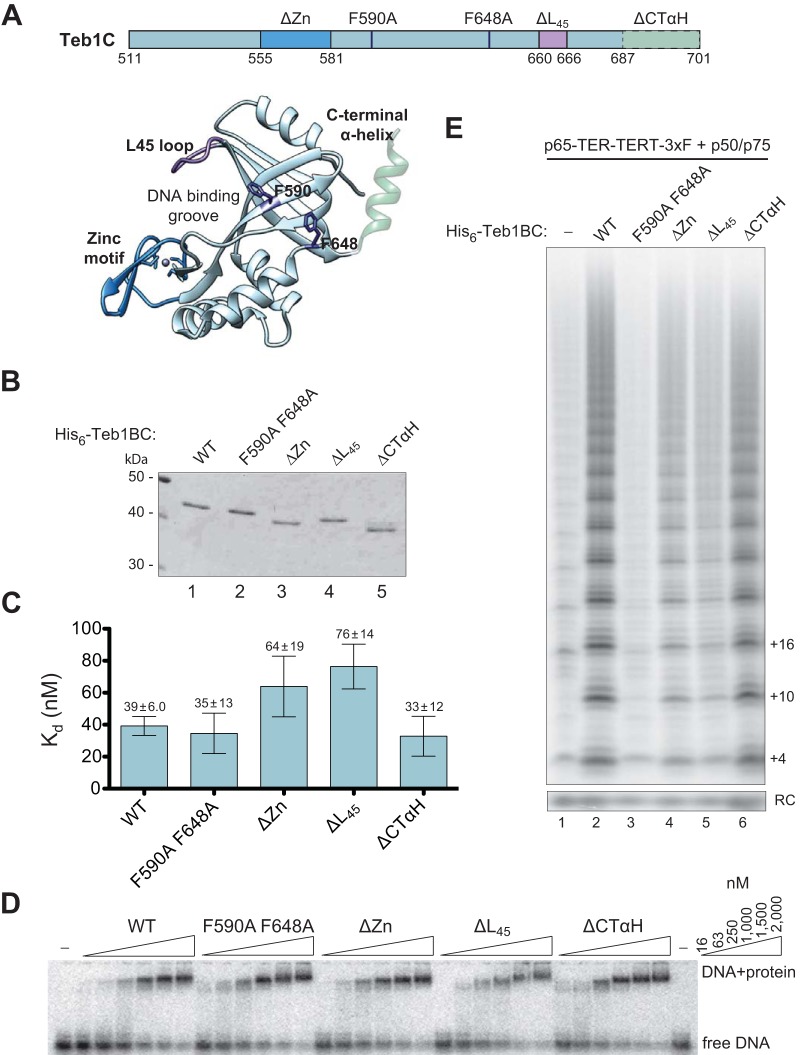 FIG 4