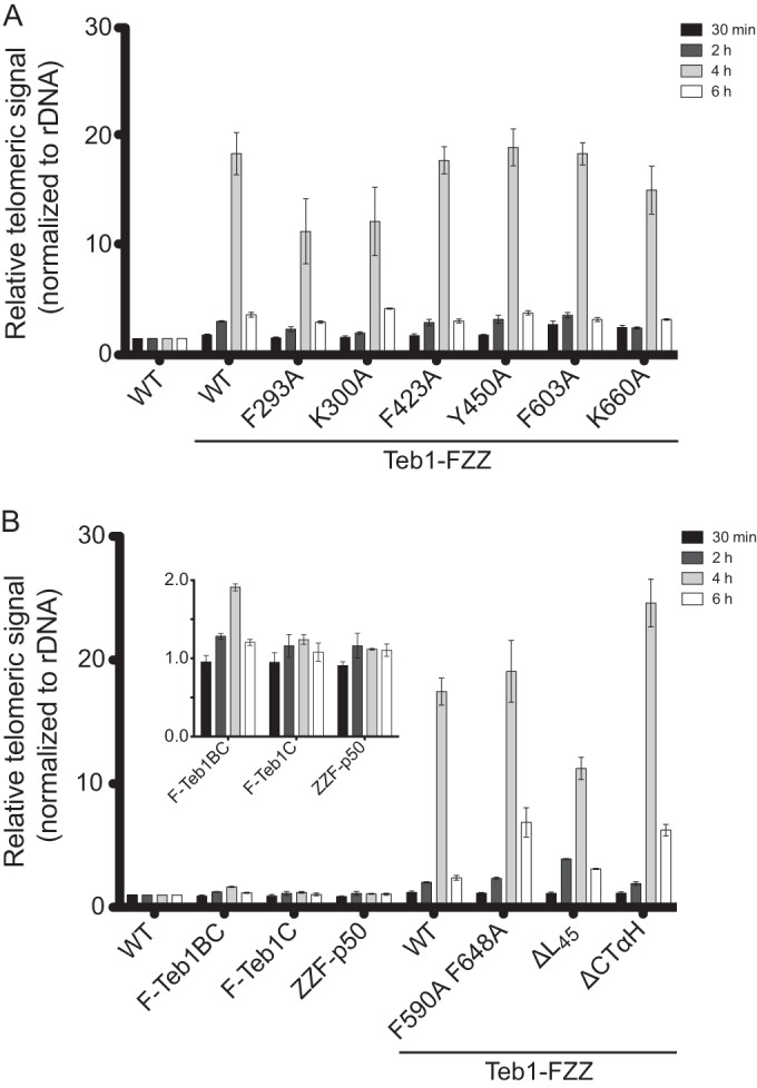 FIG 6