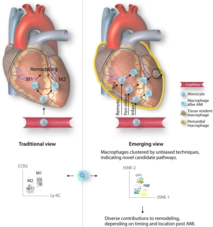 Graphical Abstract