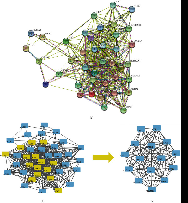 Figure 2