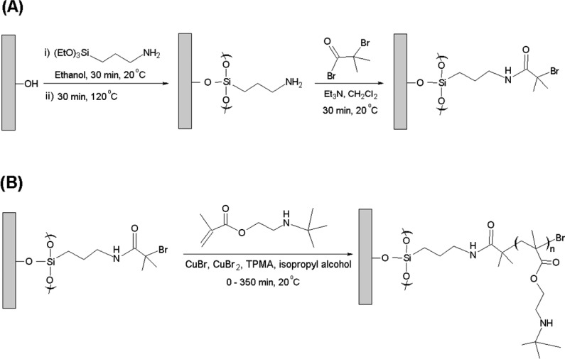 Scheme 2