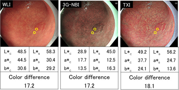 FIGURE 2