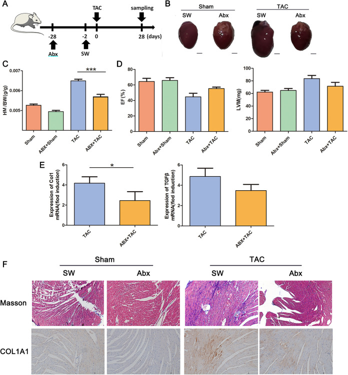 FIG 1