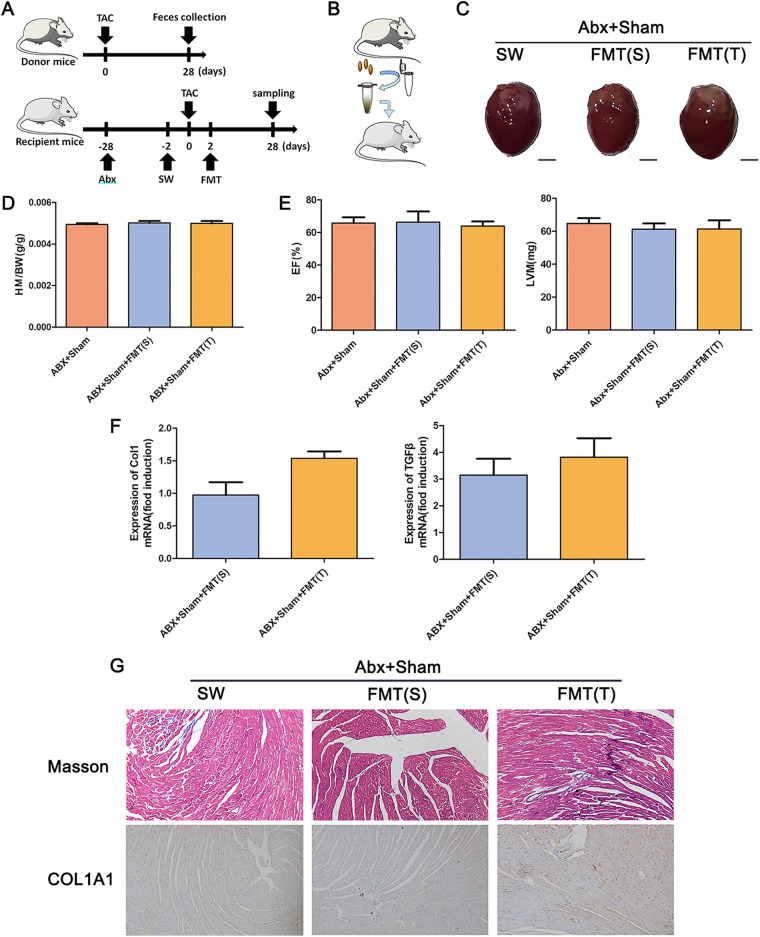 FIG 3