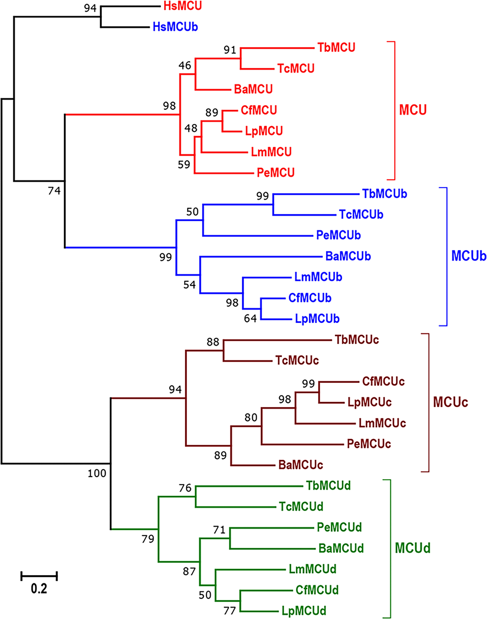 Figure 2.