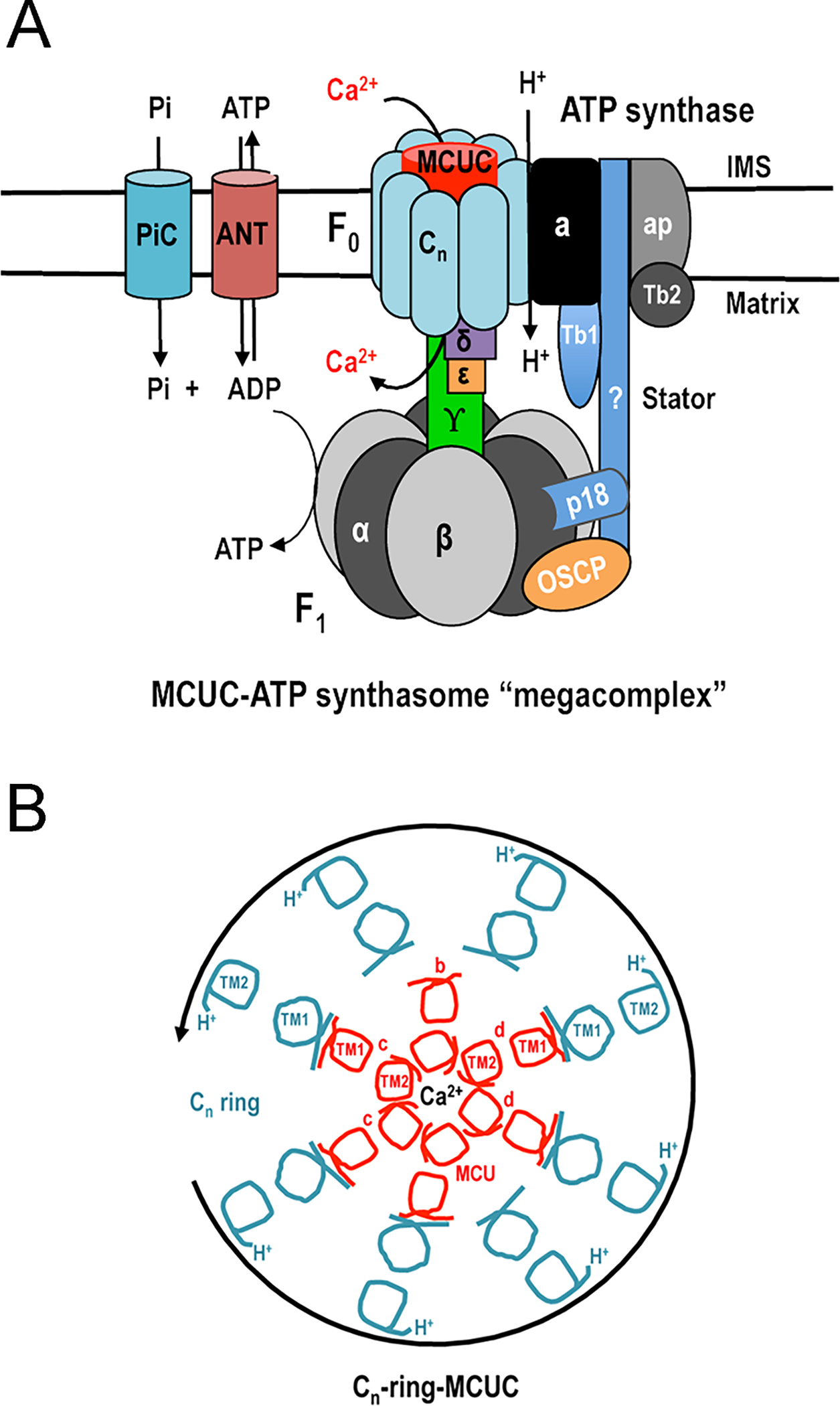 Figure 4.