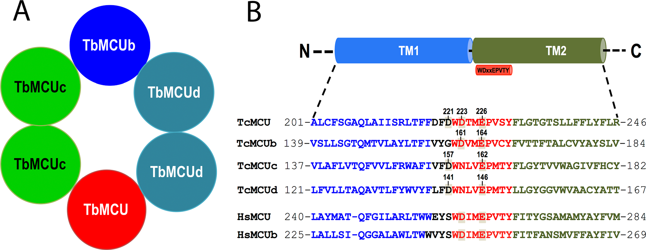 Figure 3.