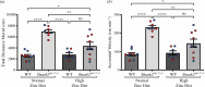 Hyperactivity is reversed by high dietary zinc in Shank2−/− mice.